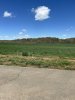 IMG_3751.jpeg