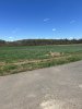 IMG_3750.jpeg