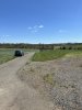 IMG_3749.jpeg