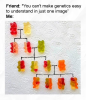 1741533110813.png