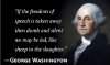 sheep washington.jpg